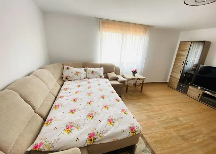 Andrei\'S House