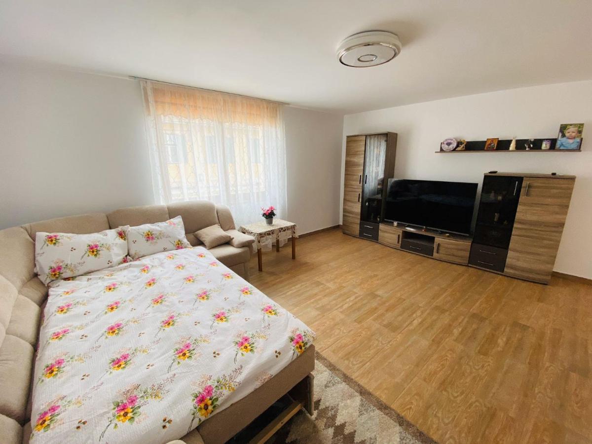 Andrei's House * Sibiu